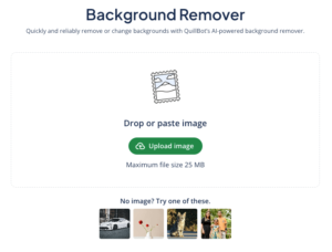 A screenshot of QuillBot's background remover tool.
